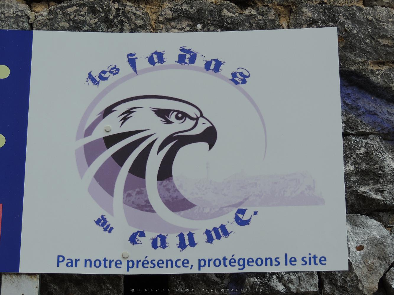 CAUME-8 Espace Protege.JPG -           